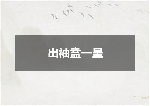 出袖盍一呈