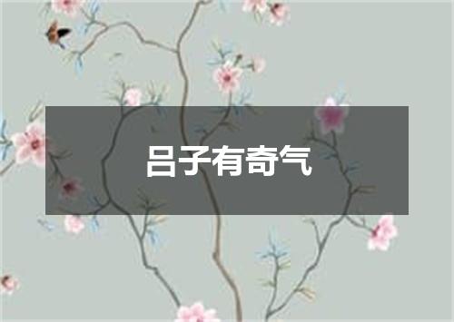 吕子有奇气