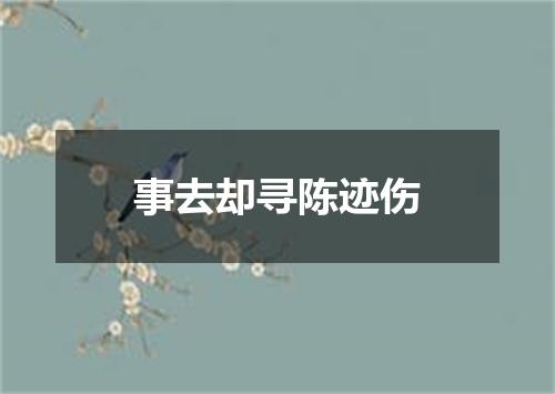 事去却寻陈迹伤