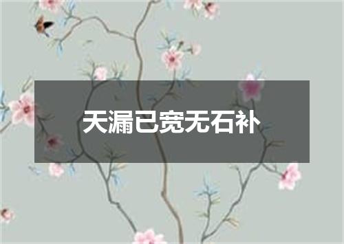 天漏已宽无石补