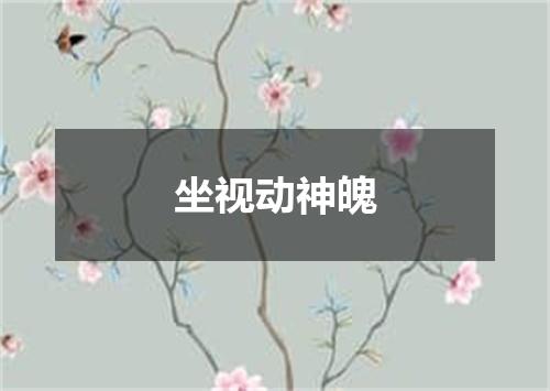 坐视动神魄