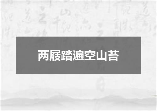 两屐踏遍空山苔