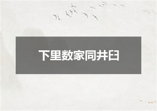 下里数家同井臼