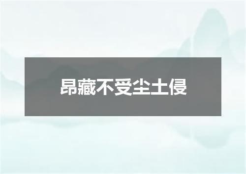 昂藏不受尘土侵