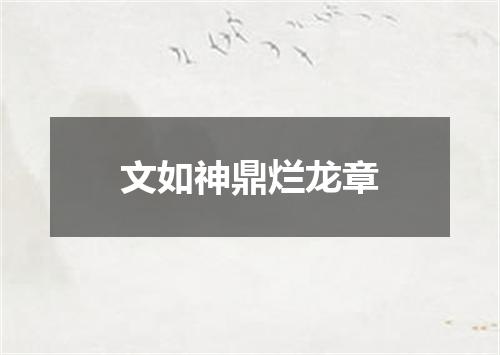 文如神鼎烂龙章