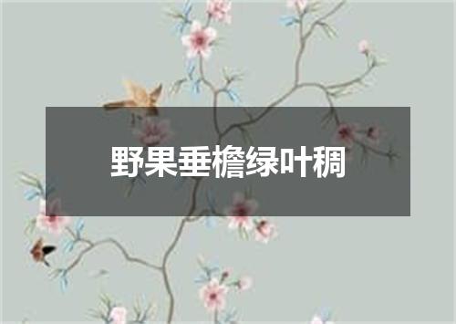 野果垂檐绿叶稠