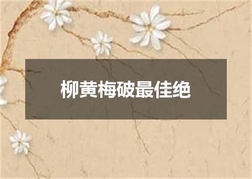 柳黄梅破最佳绝