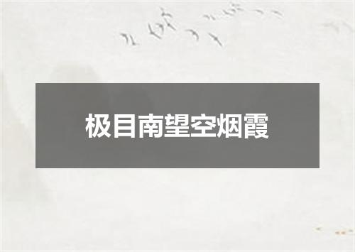 极目南望空烟霞