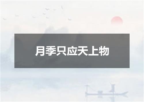 月季只应天上物