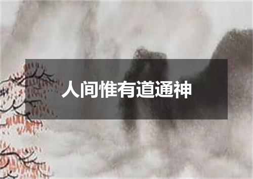 人间惟有道通神