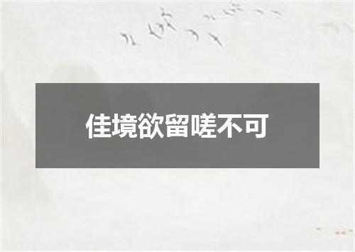 佳境欲留嗟不可