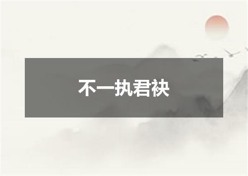 不一执君袂