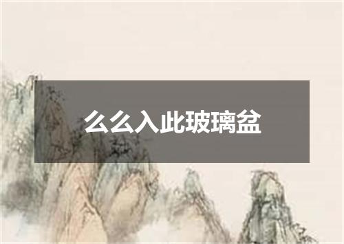 么么入此玻璃盆