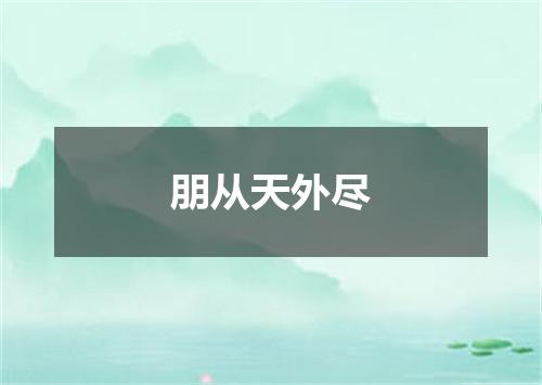 朋从天外尽
