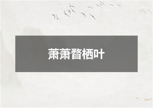 萧萧瞀栖叶