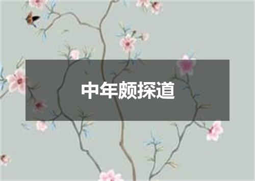 中年颇探道