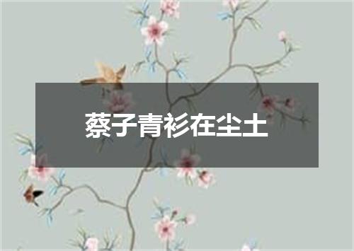 蔡子青衫在尘土