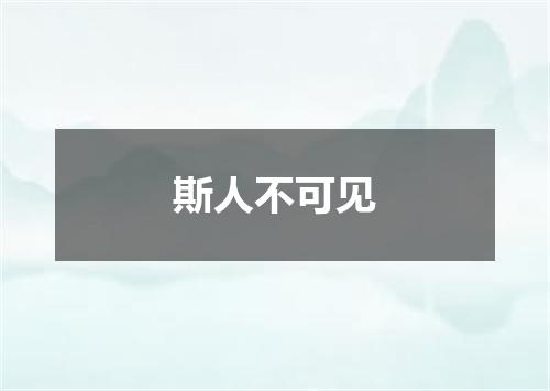 斯人不可见