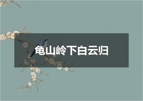 龟山岭下白云归