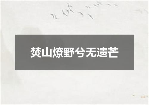 焚山燎野兮无遗芒