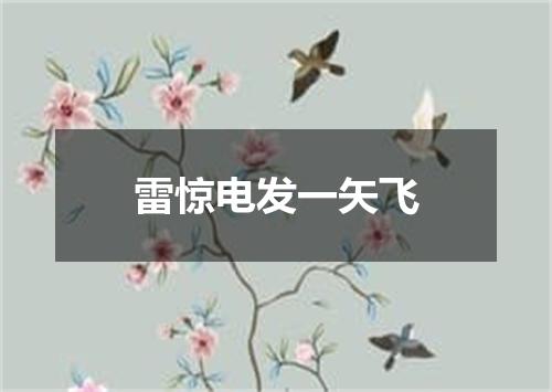 雷惊电发一矢飞