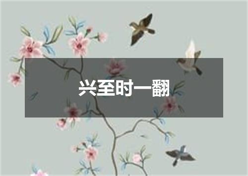 兴至时一翻