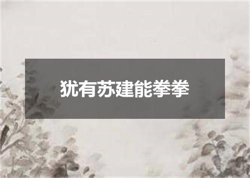 犹有苏建能拳拳