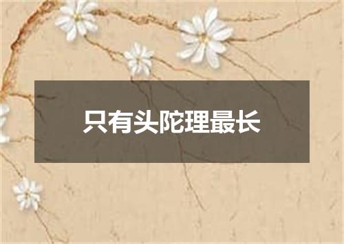 只有头陀理最长