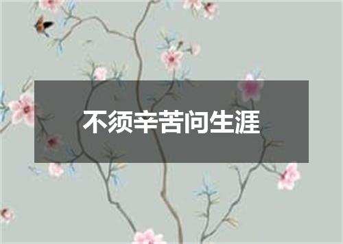 不须辛苦问生涯