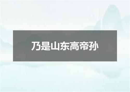 乃是山东高帝孙