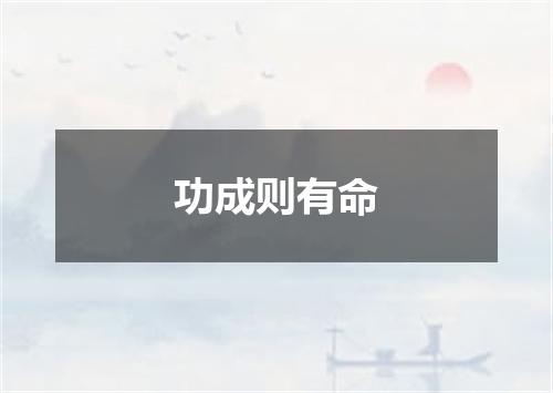 功成则有命