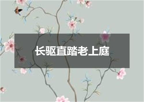 长驱直踏老上庭