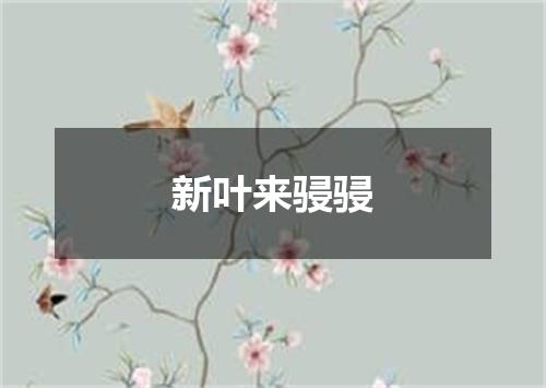新叶来骎骎