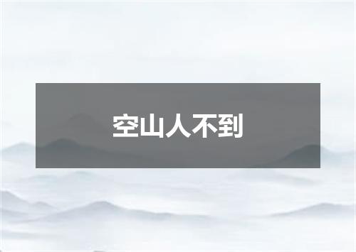 空山人不到