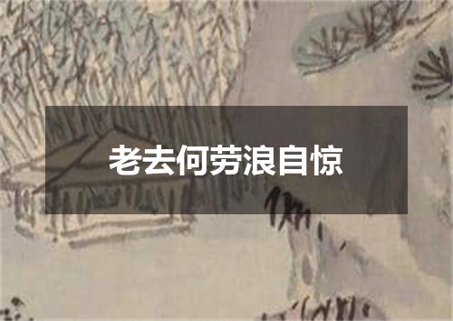 老去何劳浪自惊