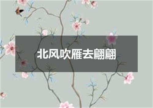 北风吹雁去翩翩