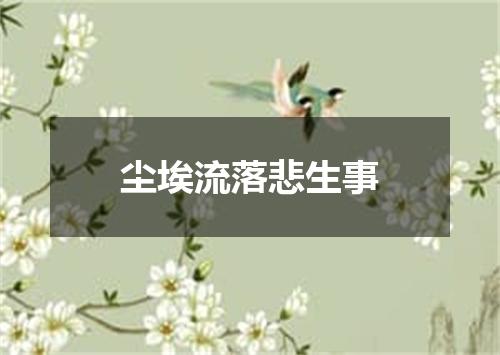 尘埃流落悲生事