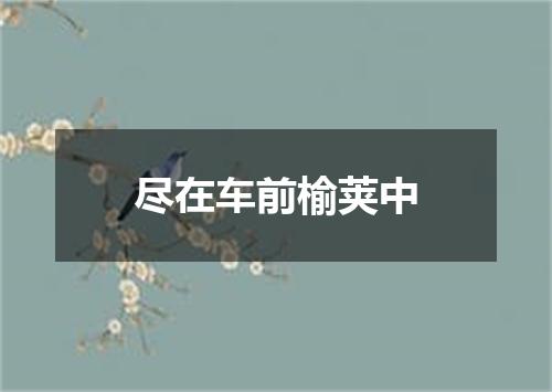 尽在车前榆荚中