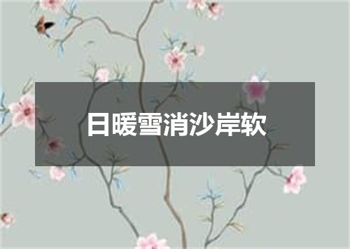 日暖雪消沙岸软