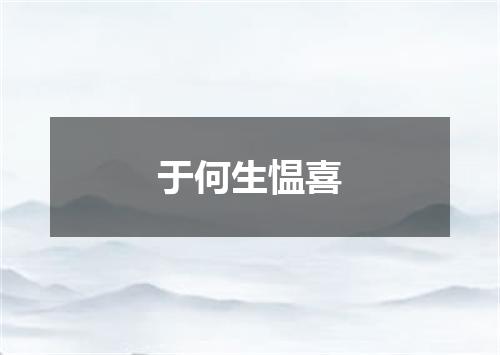 于何生愠喜