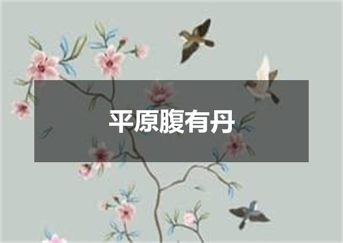 平原腹有丹