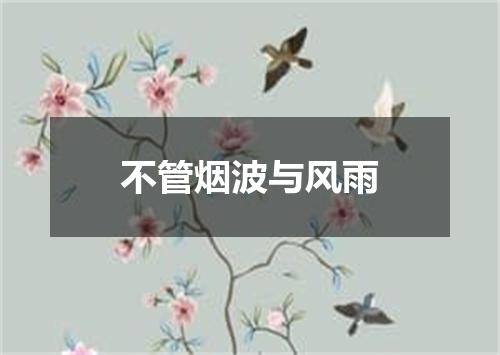 不管烟波与风雨