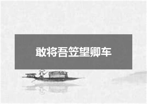 敢将吾笠望卿车