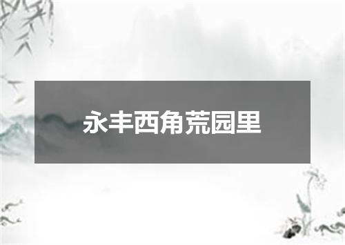 永丰西角荒园里