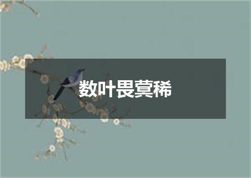 数叶畏蓂稀