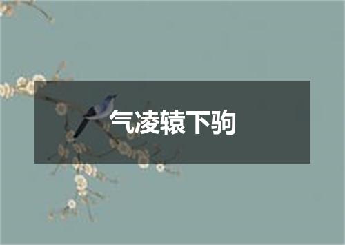 气凌辕下驹