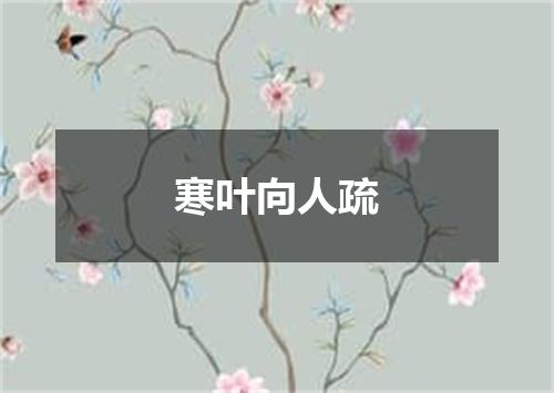 寒叶向人疏