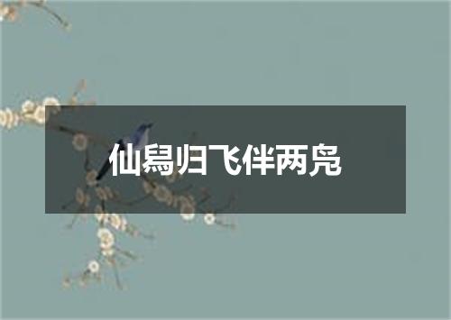 仙舄归飞伴两凫
