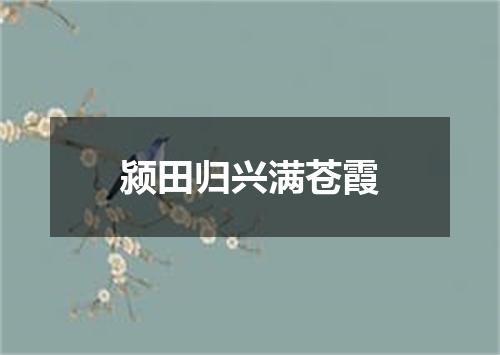颍田归兴满苍霞