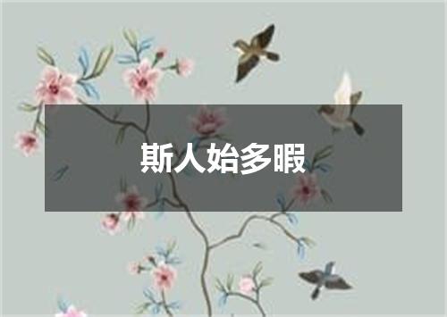 斯人始多暇